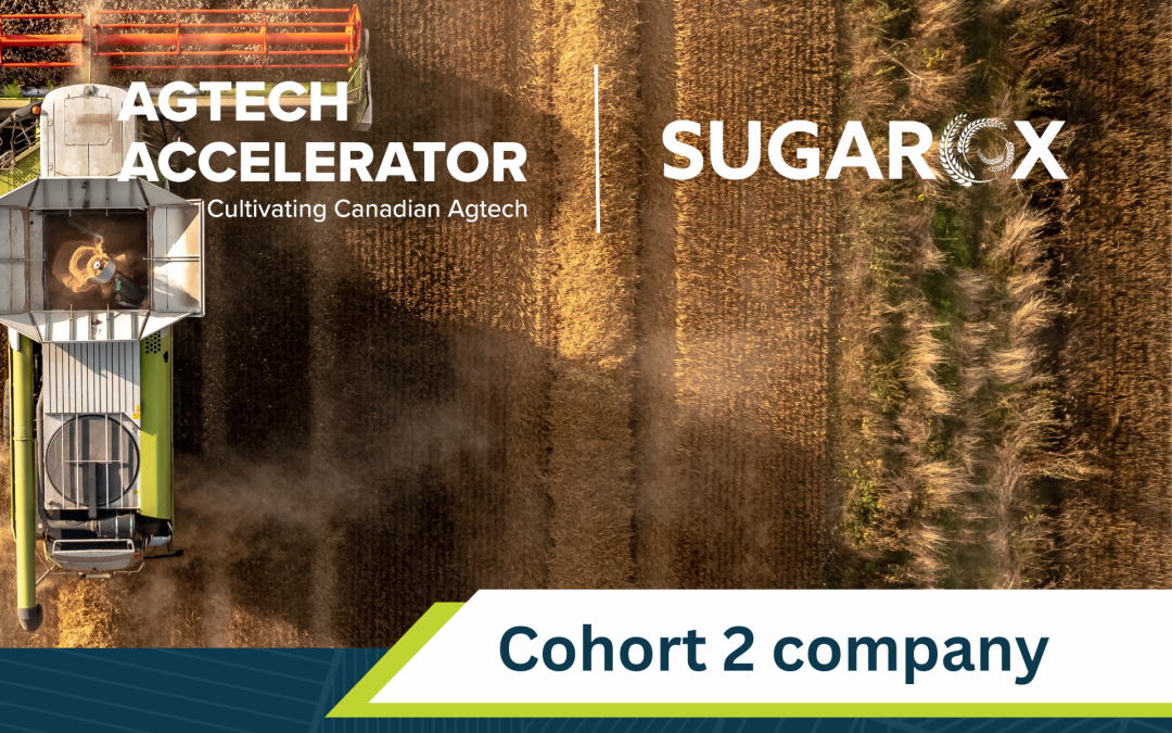 SugaROx joins the Innovate UK’s Global Incubator Programme