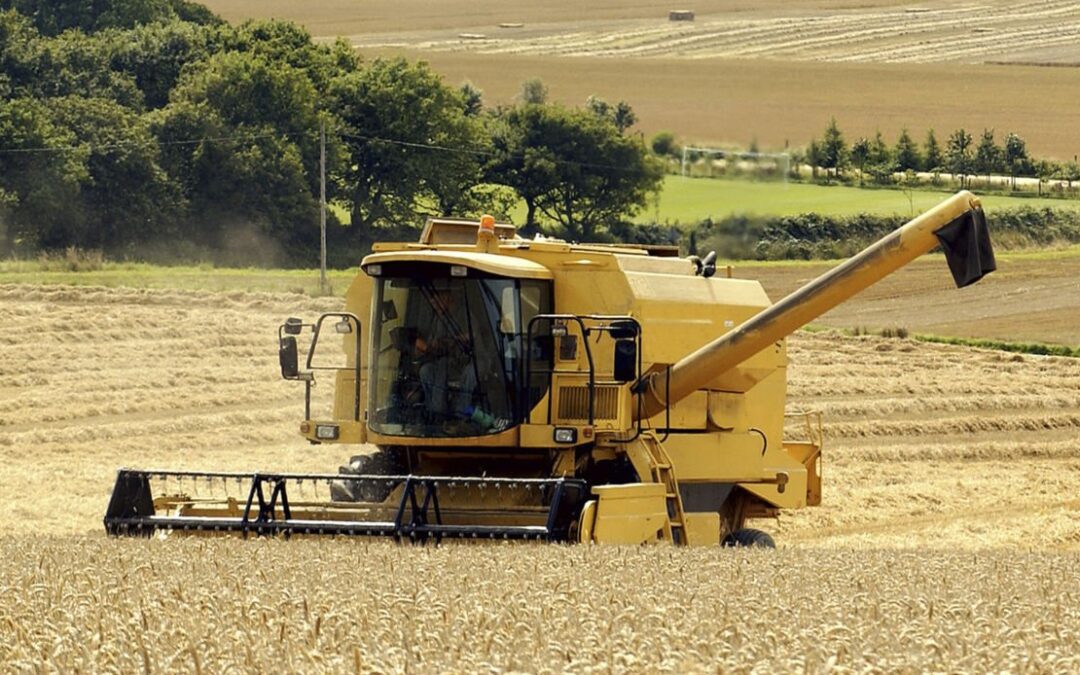 New R&D Partnership to Bring Award-Winning T6P Biostimulant to UK Market