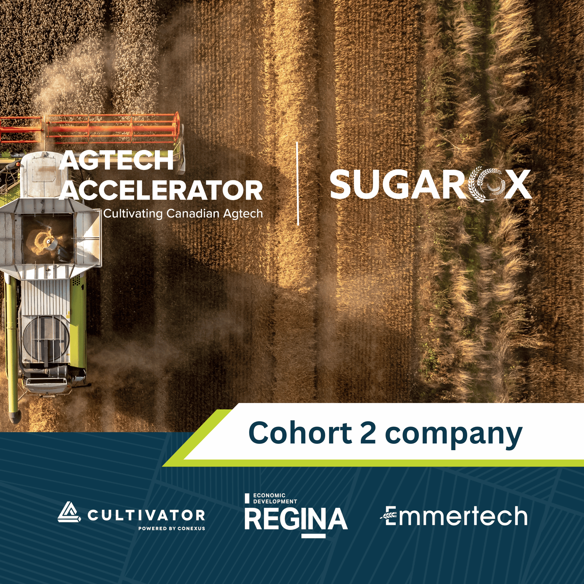 SugaROx joins the Innovate UK’s Global Incubator Programme
