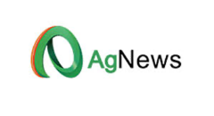 AG News
