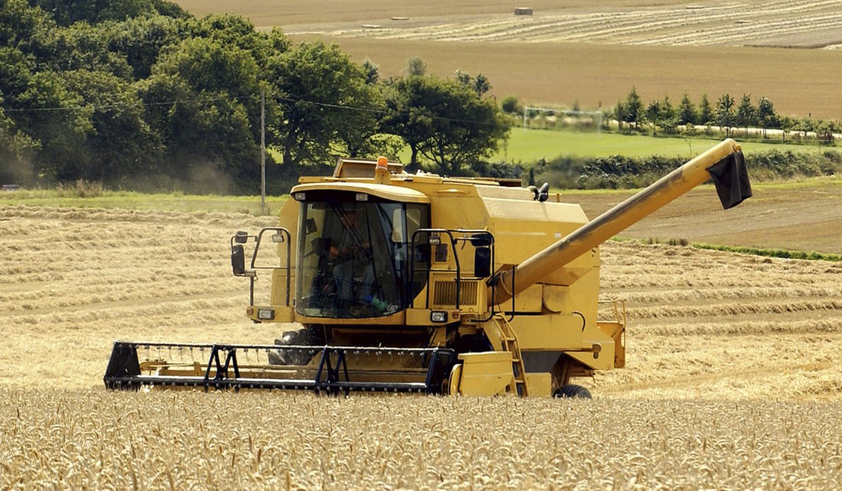 New R&D Partnership to Bring Award-Winning T6P Biostimulant to UK Market